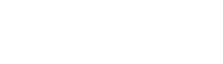 Winter Frozen